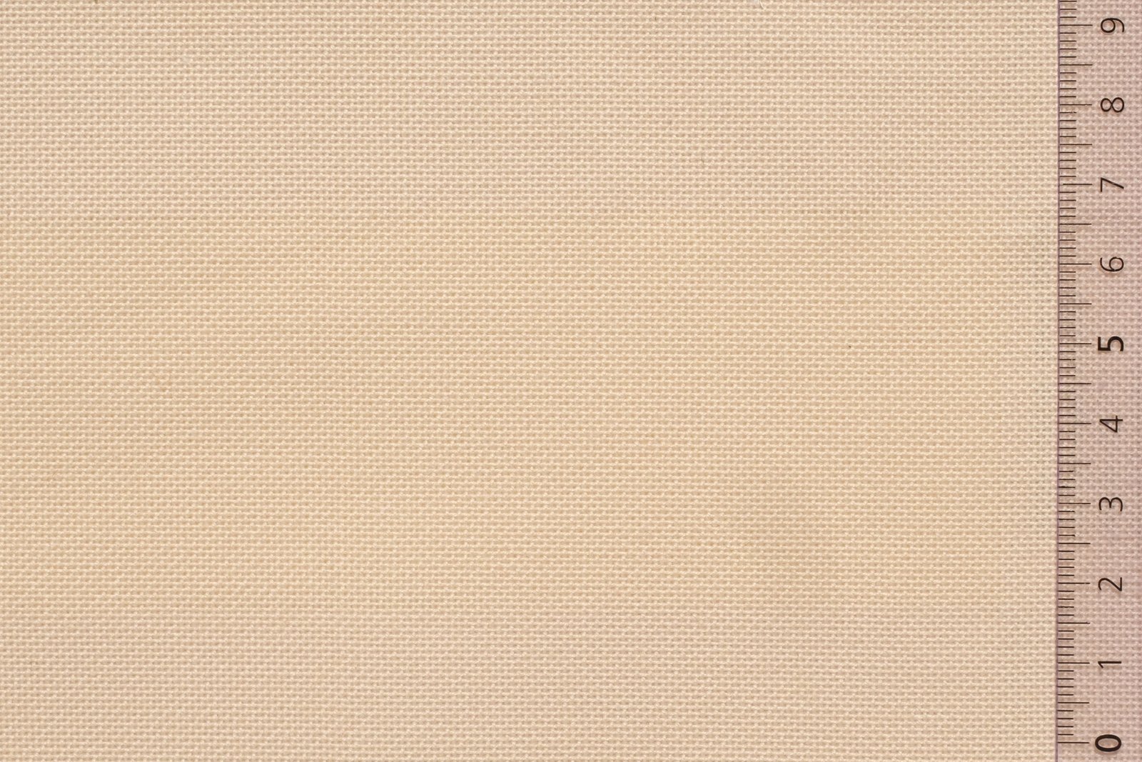 06MYC120BEIxxxCOT[MYCINAE 120](ECRU)F